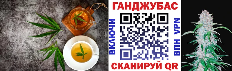 где купить наркотик  Сосновый Бор  дарк нет телеграм  Cannafood марихуана 