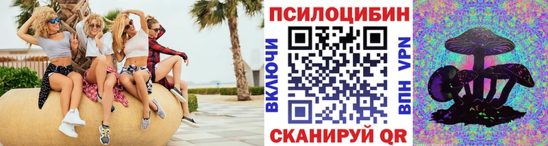 Галлюциногенные грибы MAGIC MUSHROOMS  сколько стоит  Сосновый Бор 